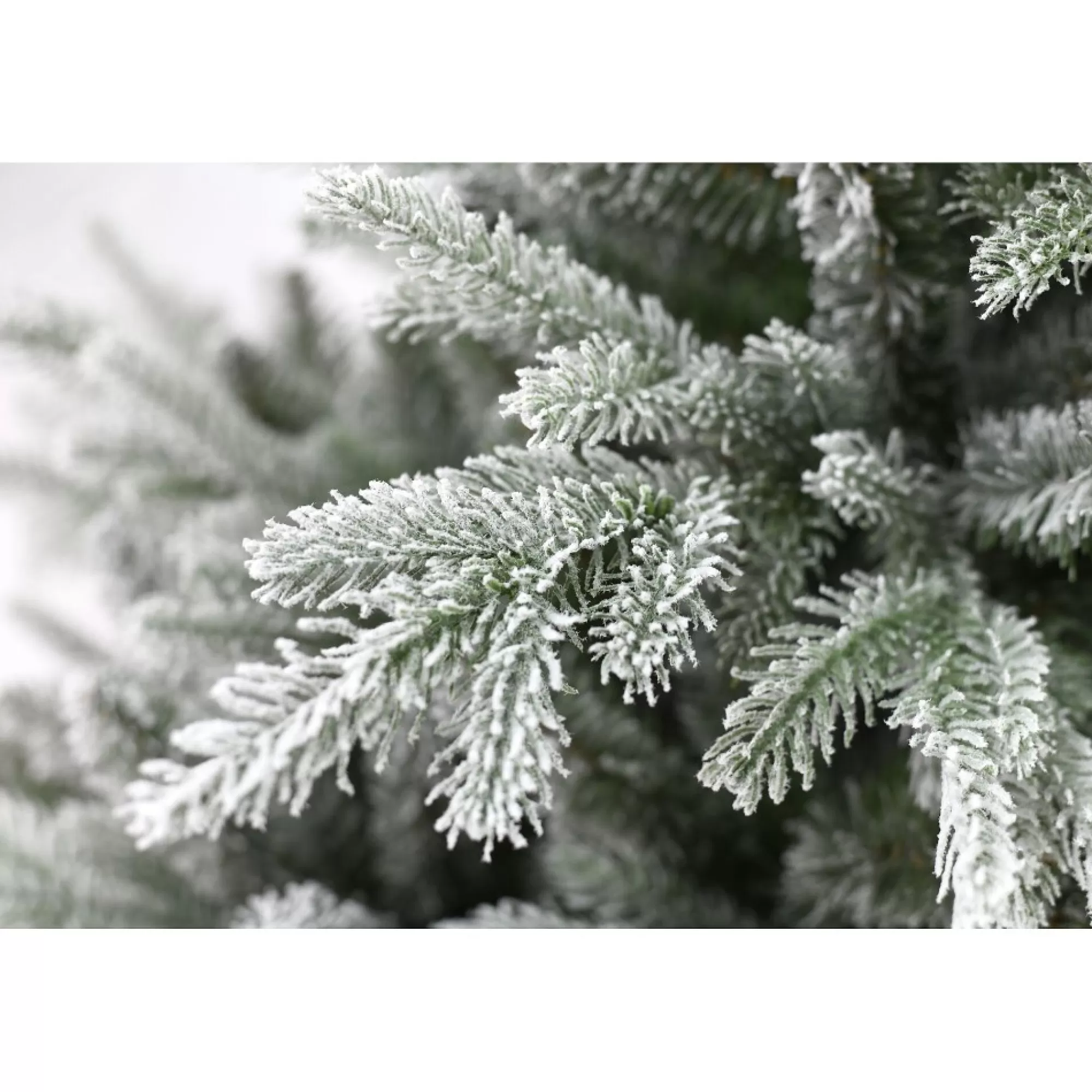 Cheap Kerstboom Milford Hinged Snowy H 243Cm 178Cm 2801 Tips Grote Kerstbomen